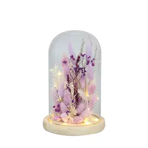 E322 doğal ebedi çiçekler sonsuza kadar korunmuş küçük çiçek cam kubbe ile anneler günü için sıcak ışık hediye