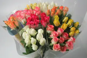 Flores de corte fresco para casamento, rosa branca pura orgulhosa, haste grande de 60 cm, atacado de cores para venda no varejo