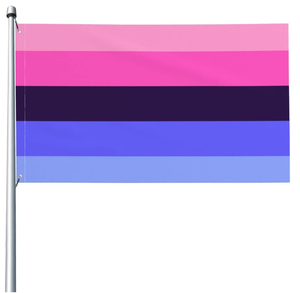 Drapeau LGBTQ Trans Pride de 3x5 pieds, drapeau LGBTQ, fête d'accueil <span class=keywords><strong>tout</strong></span> compris, décorations extérieures, décorations pour la maison, le jardin, la cour - Product Image 6