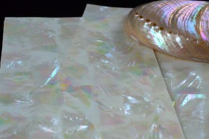 DB024 personalizable nail art lentejuelas <span class=keywords><strong>piedra</strong></span> concha de abulón - Product Image 4