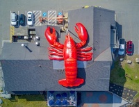 Homard gonflable géant avec lumières LED, crevette lumineuse de grande taille, logo personnalisé, modèle de fruits de mer pour la publicité événementielle/festivals/promotion
