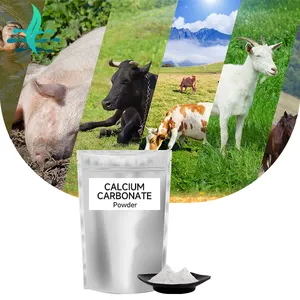 LanShan Supply Calcium Carbonate ISO Certified High-Quality Calcium Carbonate