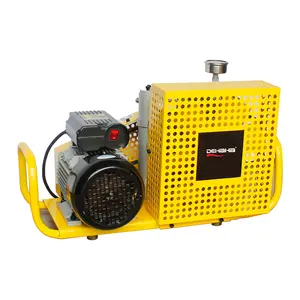 4500 Psi Hoge Druk Kleine Scuba Ademen Zuiger 200bar Air Compressor