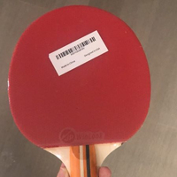 Custom ized Hot Sale 4 Spieler Profession elle Tischtennis schläger Pingpong Paddel Set mit 8 Bällen