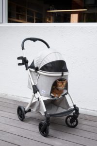 Carrito de Viaje Plegable Premium para Perros y Gatos, para Salidas Diarias Seguras con Mascotas - Product Image 4