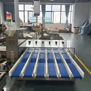Zählen und Wiegen von Förder linien verpackungen Elektronische Waage; Fließband-Präzisions waage; Gewichts detektor für Lebensmittel verpackungen - Product Image 6