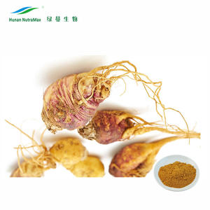 China Fabricante <span class=keywords><strong>Maca</strong></span> <span class=keywords><strong>Root</strong></span> <span class=keywords><strong>Extract</strong></span> Powder 0,6% <span class=keywords><strong>Macamides</strong></span> e Macaenes - Product Image 2
