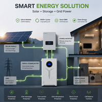 Système de stockage d'énergie intelligent LiFePO4 IP54 en stock UE, 51,2 V 300 Ah 15 kWh, pack de batteries solaires pour solution d'alimentation de secours domestique