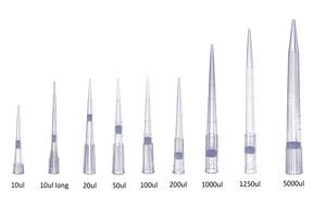 Dùng một lần vô trùng Lọc Phòng thí nghiệm tiêu hao phổ 5UL 10ul <span class=keywords><strong>200ul</strong></span> <span class=keywords><strong>Pipette</strong></span> tip - Product Image 5