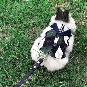 Set di Abbigliamento per <span class=keywords><strong>Conigli</strong></span> con Papillon a Quadretti e Guinzaglio con Anello, Stile Principessa - Product Image 3