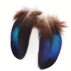 Vendita a buon mercato ali di pavone naturale piccola piuma blu per la festa di carnevale Millinery corpetto decorazione fai da te - Product Image 5