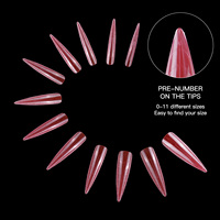 120 pièces rouge Long XXXL Stiletto Double double forme ongles conseils marque privée personnalisé Mr Nail double forme pour extensions d'ongles