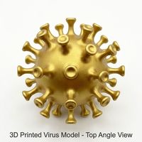 Modelo de Virus Impreso en 3D, Modelo de Coronavirus Dorado, Modelo Educativo de Resina para Exhibición Científica