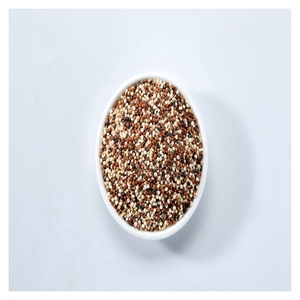 Pas <span class=keywords><strong>cher</strong></span> Offre Spéciale Top Qualité Noir Blanc Rouge <span class=keywords><strong>Quinoa</strong></span> Avec mixte Tricolore <span class=keywords><strong>Quinoa</strong></span> Graines - Product Image 3