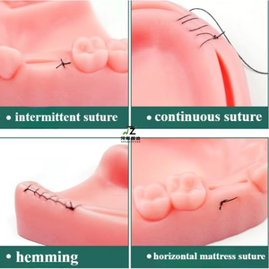 Set de Instrumentos de Sutura de Cuatro Dientes, Módulo Oral, Maniquí de Entrenamiento de Sutura, Tamaño Real, Material de PVC Avanzado para Periodontitis y Encías - Product Image 2