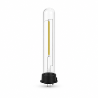 Ampoule LED à filament T20 1 filament 0,5W 70lm 3500K CRI 90+ Dimmable pour éclairage de jardin