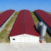 Poulailler préfabriqué économique en structure acier moderne pour l'élevage avicole à grande échelle avec personnalisation