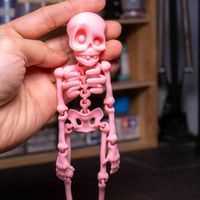 Nuevo Imán Magnético con Forma de Calavera 2026, Divertido Regalo de Halloween, Decoración de Cocina y Comedor, Modelo Animal