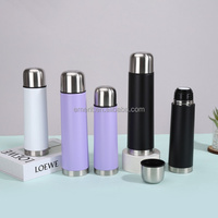 Thermos à Yerba Mate en acier inoxydable 18/8 de 500 ml et 750 ml, avec bombilla et couvercle, logo personnalisé, tendance 2026, vente en gros