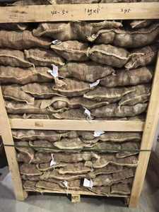 2025 cina nuovo raccolto castagno cinese <span class=keywords><strong>castagne</strong></span> fresche prezzo all'ingrosso alla rinfusa essiccato e arrostito con gusto dolce - Product Image 6