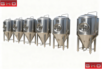 CE 3000L Fermenteur Industriel Commercial Grande Capacité avec Trappe Latérale pour la Fermentation de la Bière