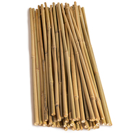 Vente en gros 1000pcs Eco Friendly Pole Bambou Naturel Matières Premières Steak Usine Fournisseur