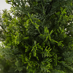 Árbol de Ciprés Artificial Alto, Colección de Árboles de Boj, Cedro y Hierba, Duradero, Realista, Ecológico, Resistente a los Rayos UV, Plástico para Interiores - Product Image 2