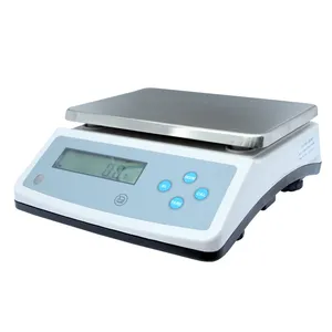 Wa 101P Digitaal 0.1G Hoge Precisie Door 20Kg 30Kg 1G Gewicht Compact Tellen Sieraden Lab Met Behulp Van Industrie Weegschaal