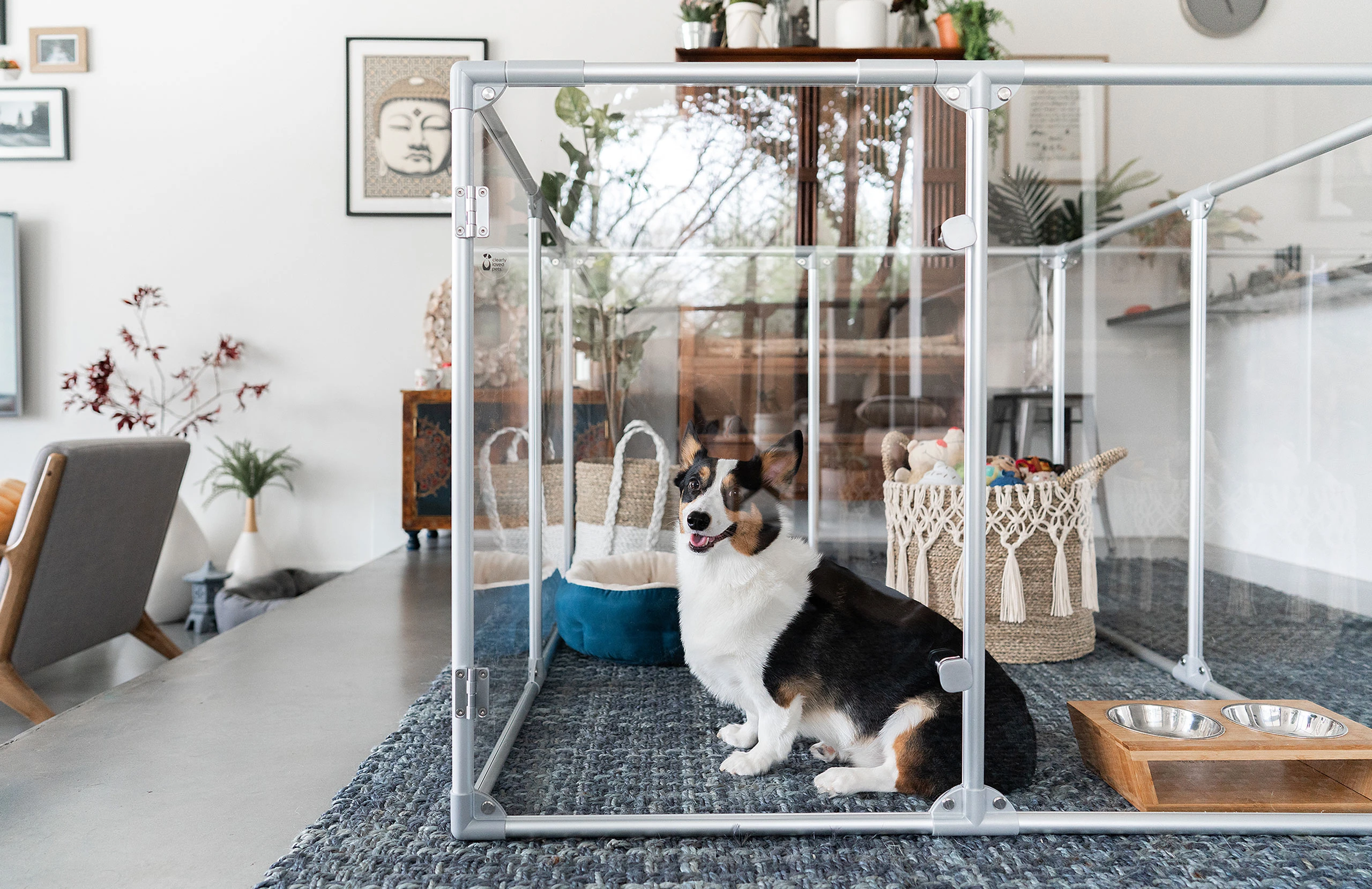 plexiglass dog pen