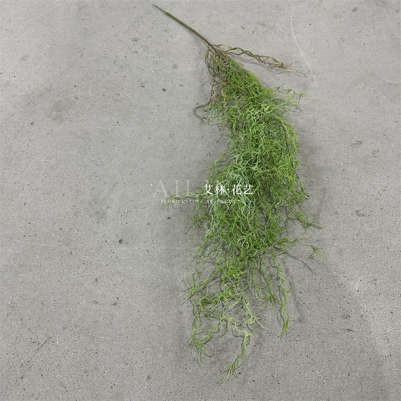 White and Green