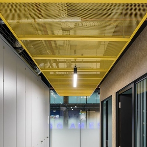 Lưới Kim Loại Mở Rộng Lưới Kim Loại Mở Rộng Trần Bằng Nhôm Phủ Pvdf - Product Image 6