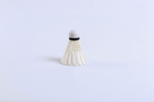 ที่มีคุณภาพสูงราคาโรงงานแบดมินตันรถรับส่งชุดไก่ - Product Image 2