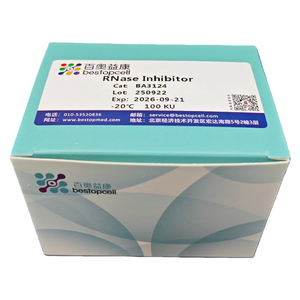 Rnase Remmer (100ku) Hoge Kwaliteit Iso 9001 Ba3124 - Product Image 1