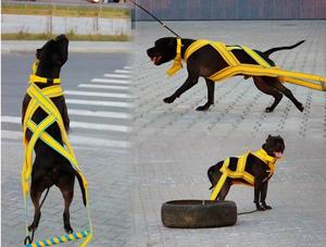 Adjustable <strong>Weighted</strong> <strong>Dog</strong> Training <strong>Vest</strong> With Training For Large <strong>Dogs</strong> Pet Training Sled Weight Pull Harness for <strong>Dog</strong> - Product Image 5
