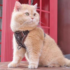 Tali rompi anjing dan kucing, rompi gaya lucu dapat disesuaikan tali kucing peliharaan luar ruangan Anti keluar untuk Aksesori berburu - Product Image 4