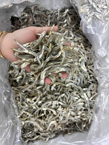 Anchois séchés du Vietnam entiers, séchés au soleil, anchois blancs, fournisseur en gros //Mme. Reina// 2026 - Product Image 1
