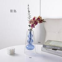 Vase en verre coloré à double couche, brûleur d'encens artistique sans flamme, vase à fleurs transparent pour culture aquatique, décoration de table
