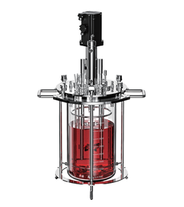 Bioréacteur en verre de paillasse d'approvisionnement professionnel bioréacteur à double verre réacteur biologique en verre - Product Image 5