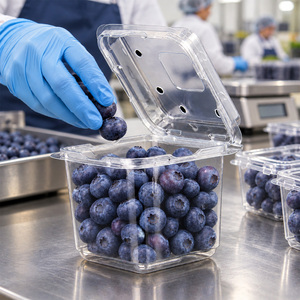 Envase de Plástico PET Transparente Desechable y Reciclable para Alimentos, Caja Delgada Tipo Concha para Verduras, Ensaladas y Frutas con Tapa - Product Image 4