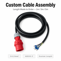 LNLEE PCE Cable Industrial de 3m con Enchufe IEC 60309 de 5 Pines, 5x2.5mm² 300/500V H07RN-F con Terminales de Anillo, Longitud de Cable Personalizada