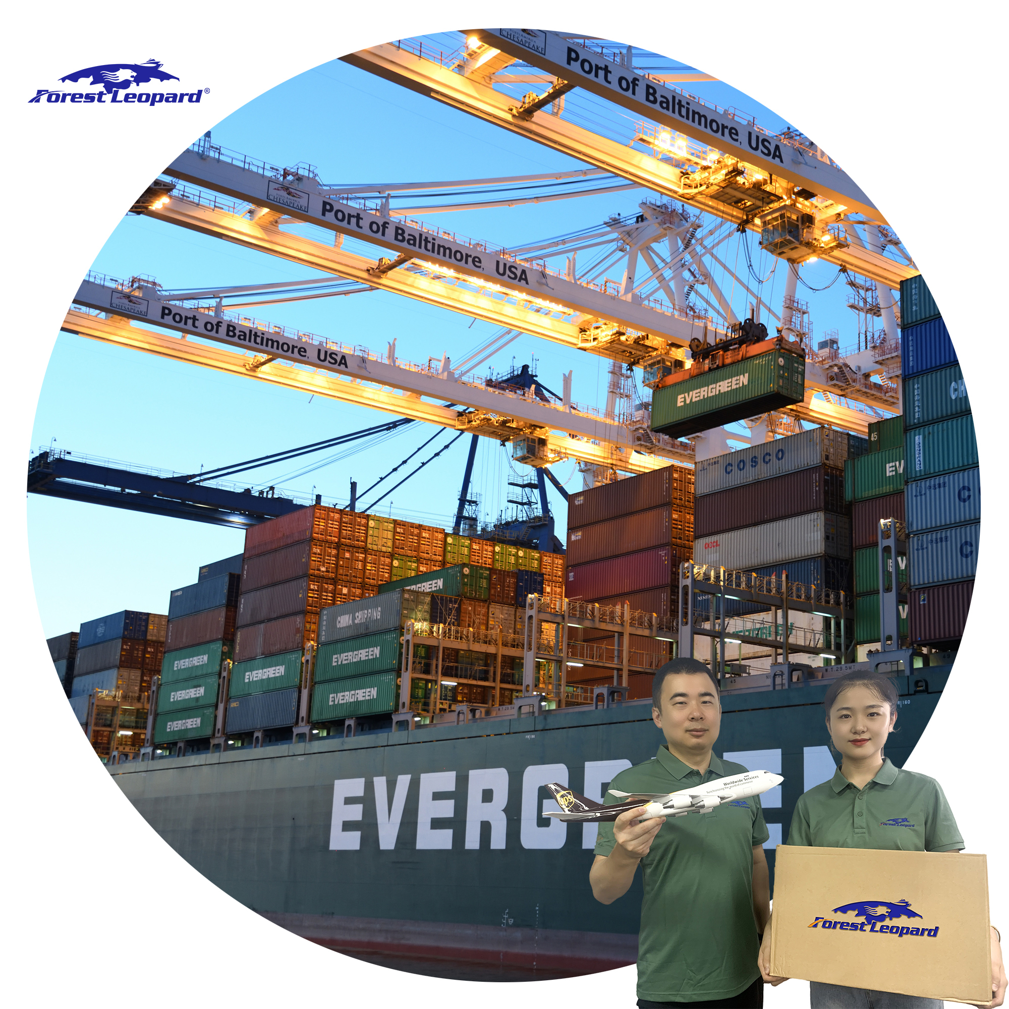 Taobao Tmall 1688 Seafreight Forwarder Cargo Shipping Rates to Dubai USA UK  Free Insurance Alibaba.com