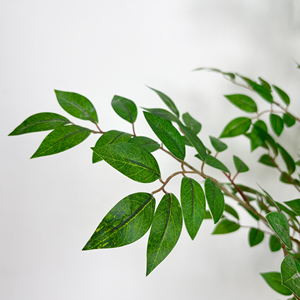 Buen <span class=keywords><strong>precio</strong></span> 165cm <span class=keywords><strong>Ficus</strong></span> Tree Artificial <span class=keywords><strong>Ficus</strong></span> Tree Planta verde artificial con maceta Faux <span class=keywords><strong>Bonsai</strong></span> Tree para Decoración - Product Image 3