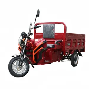 600W/800W/1000W ba bánh dành cho người lớn Điện hàng hóa xe đạp Trikes