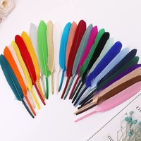 Plume d'oie de corail pour l'artisanat d'art bricolage stylo aile coiffure Costume chapeau accessoire de cheveux carnaval fête mariage maison noël