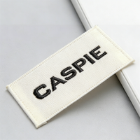 Étiquettes de vêtements personnalisées en polyester tissé écologique, étiquettes d'entretien brodées, sérigraphiées, étiquettes de marque carrées centrales