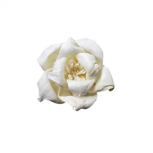 Rose séchée naturelle SN010, 5cm, fleurs rondes, en bois, pour décoration d'intérieur, vente en gros