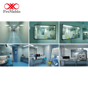 Réactifs de blocage rapide WB prêts à l'emploi sans lavage 50ml/500ml Pureté 99,9% Compatibles IHC - Product Image 4