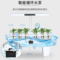 Système hydroponique de bureau arrosage automatique Microgreens appareil de cuisine réutilisable intérieur Hydro Microgreen Kit de culture