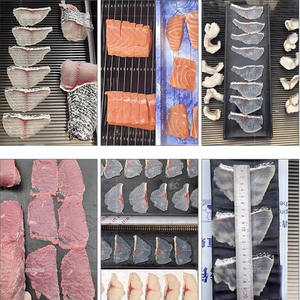 Prix de la machine à couper les filets de poisson-chat tilapia truite sashimi fumée <span class=keywords><strong>saumon</strong></span> poisson tranche - Product Image 2