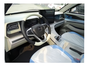 أفضل سرعة منخفضة من أجل البالغين بديل جديد عن السيارات التي تعمل بالبنزين/الغاز - Product Image 6